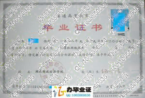 湖南财政经济学院2010年大专毕业证