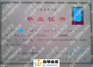 山东万杰医学院2010年大专毕业证