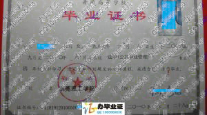 东莞理工学院2010年本科毕业证