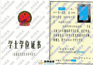 东北电力学院2004年学位证