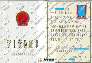 东北电力学院1999年学士学位证书