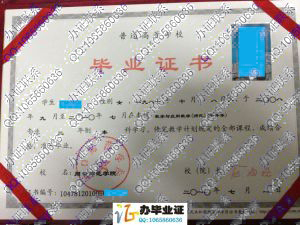 周口师范学院2010年统招专升本科毕业证