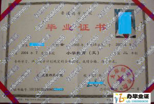 太原师范学院2004年大专毕业证