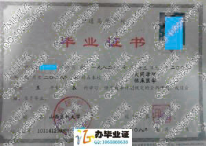 山西医科大学大同学院2008年临床医学本科毕业证