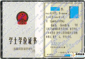 吉林艺术学院1998年学士学位证书