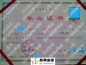 山东政法学院2009年大专毕业证