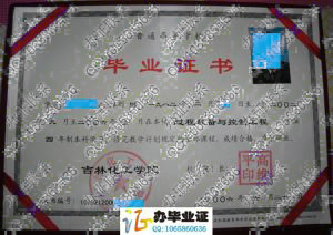 吉林化工学院2006年毕业证