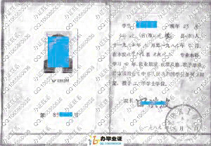 河北轻化工学院1989年本科毕业证