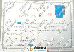 沙洲职业工学院2009年毕业证