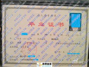 北京劳动保障职业学院2013年业余大专毕业证