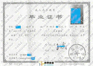 重庆教育学院2003年成人教育毕业证