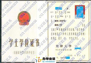 天津大1999年学士学位证