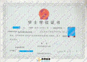 长春税务学院信息经济学院2008年学士学位证书