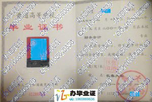 长春大学2001年财务会计大专毕业证