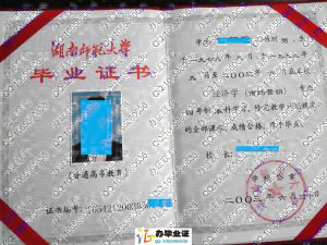 湖南师范大学2003年经济学本科毕业证