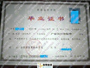 石家庄法商职业学院2009年大专毕业证