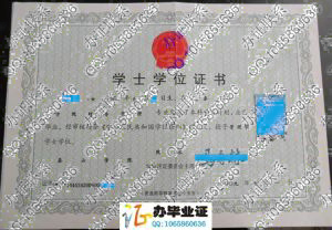 泰山学院2009年学位证书