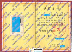 扬州师范学院1984年本科毕业证