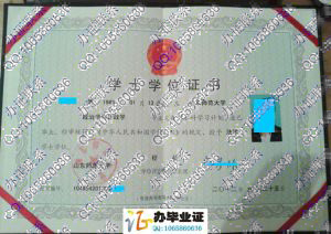 山东师范大学2012年学位证