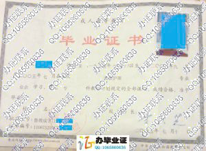 潍坊学院2005年成人毕业证