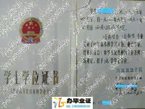 西南政法学院92年学位证