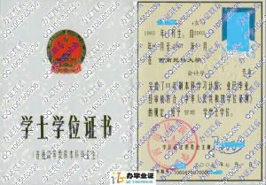 西南民族大学2007年学位证