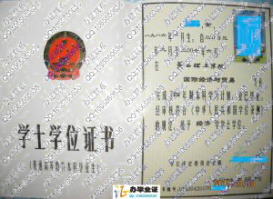 黄石理工学院2007年学位证