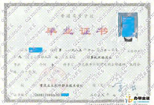 重庆正大软件职业技术学院2008年毕业证