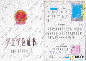 西安美术学院2005年学位证样本