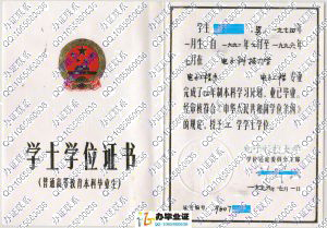 电子科技大学1996年老版学位证 src=