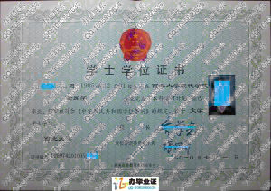 西北大学现代学院2010年学位证