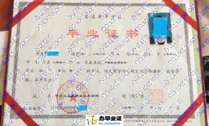 平顶山工业职业技术学院2008年毕业证