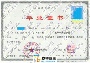 山东医学高等专科学校2010年毕业证书