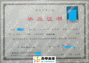 荆楚理工学院2007年毕业证