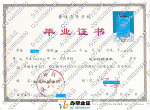 湖北中医学院2008年毕业证