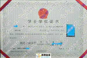 西北工业大学2009年学位证 src=