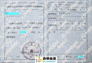 四川省报到证样式 src=