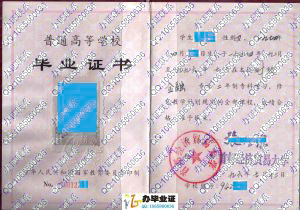 首都经济贸易大学1996年大专毕业证