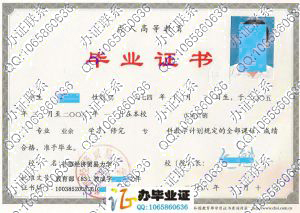 首都经济贸易大学2008年成人业余大专毕业证