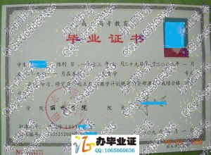 丽水学院2009年成教专科起点本科毕业证