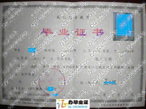 北京化工大学2003年函授专科起点本科教育毕业证