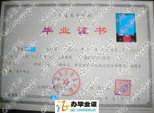 江西科技职业学院2009年专科毕业证样本