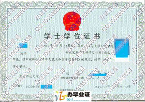 东北师范大学人文学院2011年学士学位证