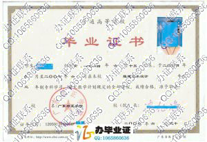 广东培正学院2007年大专毕业证