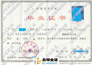 山东工艺美术学院2008年服装设计与工程本科毕业证