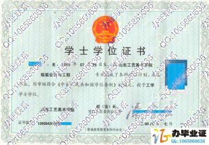 山东工艺美术学院2008年学位证书