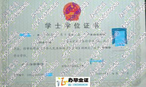 广东白云学院14年学位证